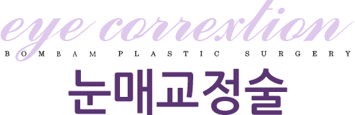 눈매교정술