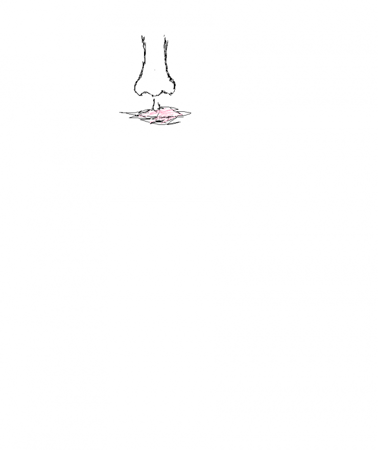1_1410493529.png